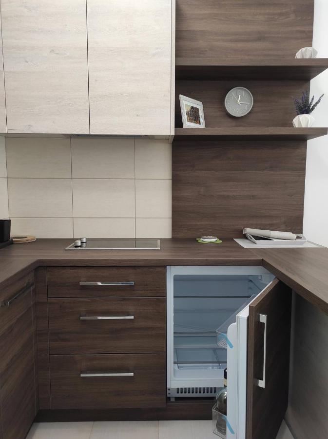 Studio Apartman Dani Banja Koviljača Εξωτερικό φωτογραφία