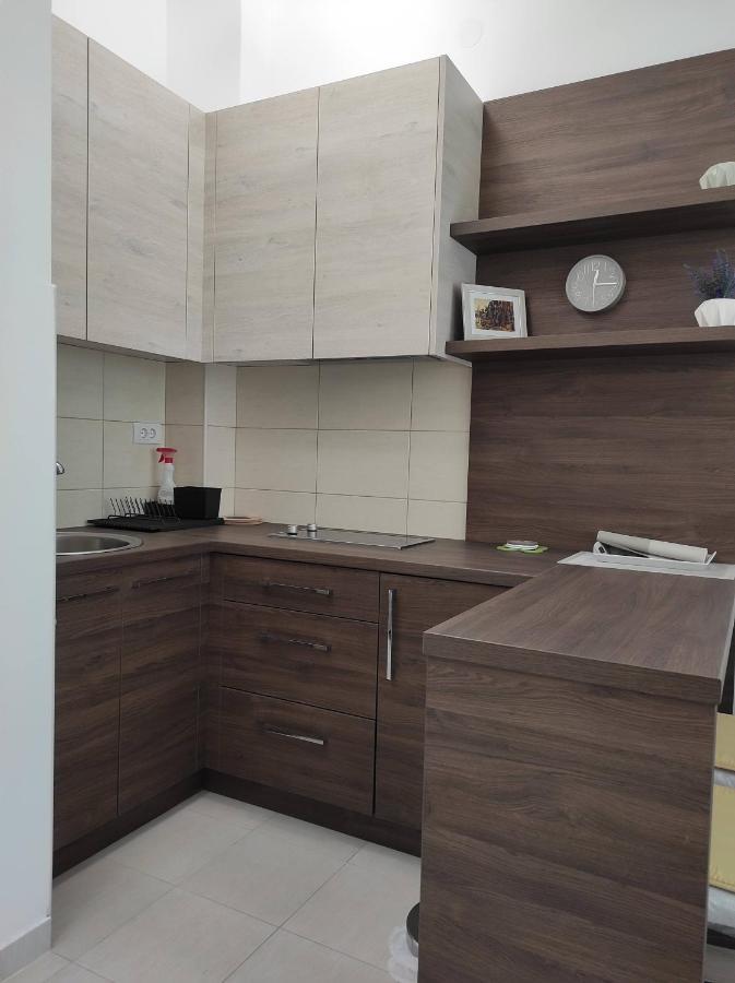 Studio Apartman Dani Banja Koviljača Εξωτερικό φωτογραφία