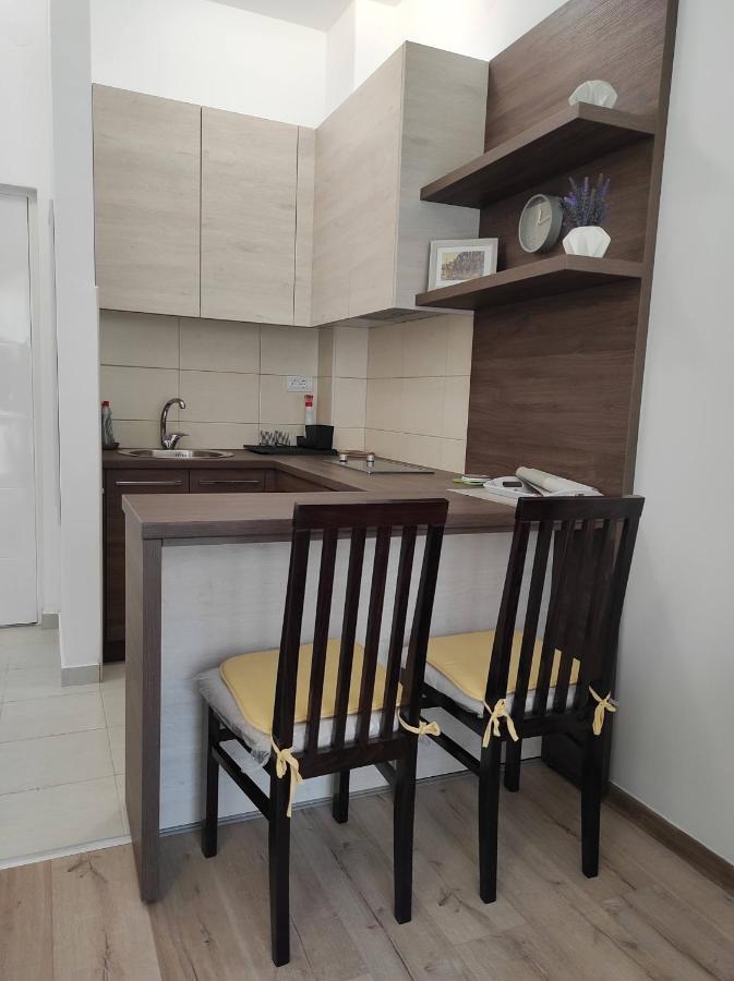 Studio Apartman Dani Banja Koviljača Εξωτερικό φωτογραφία